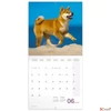Kép 2/14 - Falinaptár 2026 Puppies lemeznaptár 30×30cm Realsystem 2026 kollekció!