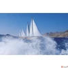 Kép 10/13 - Falinaptár 2026 T091 Sailing Toptimer 2026 kollekció!