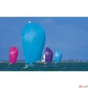 Kép 4/13 - Falinaptár 2026 T091 Sailing Toptimer 2026 kollekció!