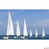 Kép 6/13 - Falinaptár 2026 T091 Sailing Toptimer 2026 kollekció!