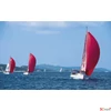 Kép 8/13 - Falinaptár 2026 T091 Sailing Toptimer 2026 kollekció!