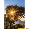 Kép 13/13 - Falinaptár 2026 T091 Trees Toptimer 2026 kollekció!