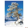Kép 2/13 - Falinaptár 2026 T091 Trees Toptimer 2026 kollekció!