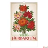 Kép 1/13 - Falinaptár 2026 T092 Herbarium Toptimer 2026 kollekció!
