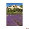Kép 12/13 - Falinaptár 2026 T092 Provence Toptimer 2026 kollekció!
