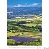 Kép 2/13 - Falinaptár 2026 T092 Provence Toptimer 2026 kollekció!