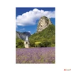 Kép 6/13 - Falinaptár 2026 T092 Provence Toptimer 2026 kollekció!