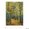 Kép 11/13 - Falinaptár 2026 T096 Claude Monet Toptimer 2026 kollekció!