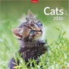 Kép 1/2 - Falinaptár 2026 T098 Cats Toptimer 2026 kollekció!