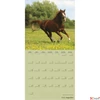 Kép 2/2 - Falinaptár 2026 T098 Horses Toptimer 2026 kollekció!