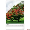 Kép 10/13 - Falinaptár 2026 Trees spirálos 33×46cm Realsystem 2026 kollekció!