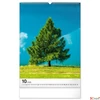 Kép 11/13 - Falinaptár 2026 Trees spirálos 33×46cm Realsystem 2026 kollekció!