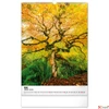 Kép 12/13 - Falinaptár 2026 Trees spirálos 33×46cm Realsystem 2026 kollekció!