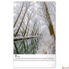 Kép 2/13 - Falinaptár 2026 Trees spirálos 33×46cm Realsystem 2026 kollekció!
