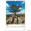 Kép 3/13 - Falinaptár 2026 Trees spirálos 33×46cm Realsystem 2026 kollekció!