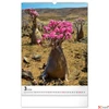 Kép 4/13 - Falinaptár 2026 Trees spirálos 33×46cm Realsystem 2026 kollekció!