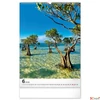 Kép 7/13 - Falinaptár 2026 Trees spirálos 33×46cm Realsystem 2026 kollekció!