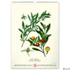 Kép 12/13 - Falinaptár Vintage Posters – H spirálos 33 × 46 cm Realsystem 2026 kollekció!