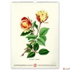 Kép 13/13 - Falinaptár Vintage Posters – H spirálos 33 × 46 cm Realsystem 2026 kollekció!