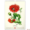 Kép 7/13 - Falinaptár Vintage Posters – H spirálos 33 × 46 cm Realsystem 2026 kollekció!