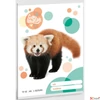 Kép 1/2 - Füzet 12-32 A5 vonalas Ars Una Cuki-Vörös Panda (5309) 23 53603494 3.osztályos prémium minőségű fü