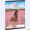 Kép 1/2 - Füzet 16-32 A5 vonalas Ars Una Wild and Free (5359) 24 LÓ 53593597 2.osztályos füzet prémium minős