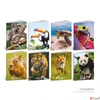 Kép 1/2 - Füzet  A/4 BLASETTI vonalas Animal Identikit 2025 50Lap 8910M