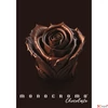 Kép 1/3 - Füzet A/4 Pigna kockás Monocromo Chocolate tűzött 38 lapos margós 02333670Q