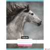 Kép 7/10 - Füzet 80-32 A4 sima Nebulo L-Design minták A minta nem választható! 32lap/70g