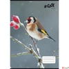 Kép 1/2 - Füzet A4 vonalas 32 lapos 81-32 COOL BY VICTORIA, Little birds, ISVFC83