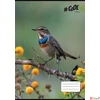 Kép 2/2 - Füzet A4 vonalas 32 lapos 81-32 COOL BY VICTORIA, Little birds, ISVFC83