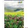 Kép 2/2 - Füzet A4 vonalas 80lap 81-32 COOL BY VICTORIA, Landscape ISVFC88