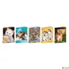 Kép 1/2 - Füzet A5 Blasetti sima 80g 42 lapos Color/Cuccioli 8442