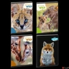 Kép 3/3 - Füzet A5 kockás Ars Una Icons of the Wild (5495) 25' 