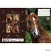 Kép 4/5 - Füzetborító A5 Horses T-Creativ, vegyes minták 