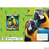 Kép 3/5 - Füzetborító A5 Wild animals T-Creativ, vegyes minták 