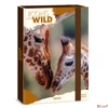 Kép 2/4 - Füzetbox A4 Ars Una 25 Icons Of The Wild-Giraffes (5505) 25 50855056
