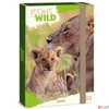 Kép 2/8 - Ars Una A4 Füzetbox 25' Icons Of The Wild-Lions oroszl 50855049 prémium minőség