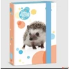Kép 1/3 - Füzetbox A5 Ars Una Cuki-Sün (5307) 23 50863075 prémium