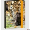 Kép 1/3 - Füzetbox A5 Ars Una Serenity-jaguar (5334) 23 50863341 prémium