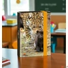 Kép 2/3 - Füzetbox A5 Ars Una Serenity-jaguar (5334) 23 50863341 prémium