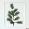 Kép 2/2 - Karácsonyi Dekorág 24' fenyő ág 20cmx20cmx80cm sdkae