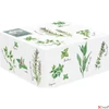 Kép 2/3 - Kínálótál Porcelán növény mint 3 részes 20,5x17cm, dobozban Herbarium