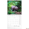 Kép 2/14 - Falinaptár 2026 Endangered Animals 6097-EA lemeznaptár 30×30cm Realsystem 2026 kollekció!