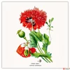Kép 10/14 - Falinaptár 2026 Herbarium 6097-HE lemeznaptár 30×30cm Realsystem 2026 kollekció!