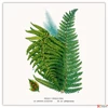 Kép 5/14 - Falinaptár 2026 Herbarium 6097-HE lemeznaptár 30×30cm Realsystem 2026 kollekció!