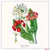 Kép 6/14 - Falinaptár 2026 Herbarium 6097-HE lemeznaptár 30×30cm Realsystem 2026 kollekció!