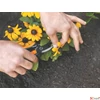 Kép 5/7 - Metszőolló FISKARS Solid™ SP14