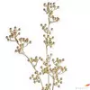 Kép 3/3 - Selyemvirág - művirág bogyós á Berry branch gold 92cm arany Holland