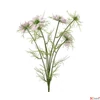 Kép 1/3 - Selyemvirág művirág pillangó Cosmos bipinnatus Jalisha purple 66cm kerti pillangó virág Holland SDDST5